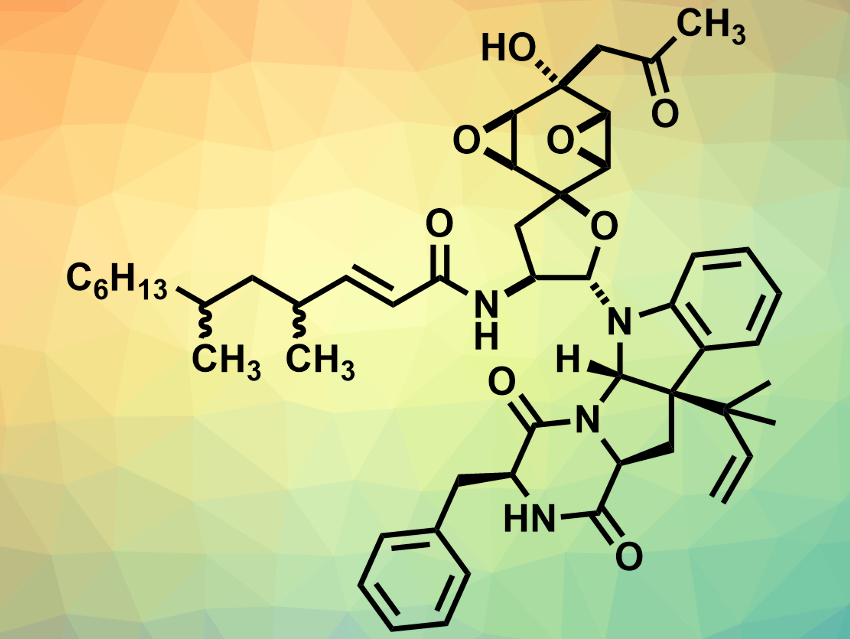 Total Synthesis of (‒)-Penicimutanin A