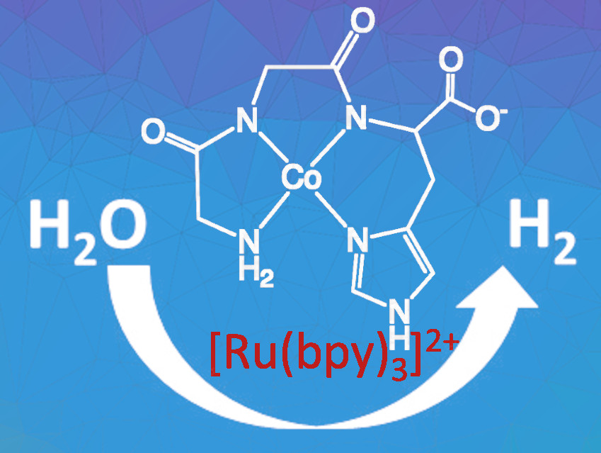 Cobalt Metallopeptide Catalyst for Hydrogen Evolution