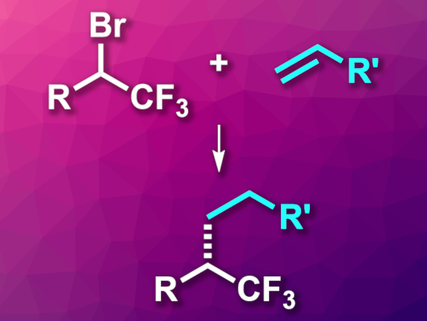 Hydroalkylation Gives Chiral Trifluoromethylated Alkanes