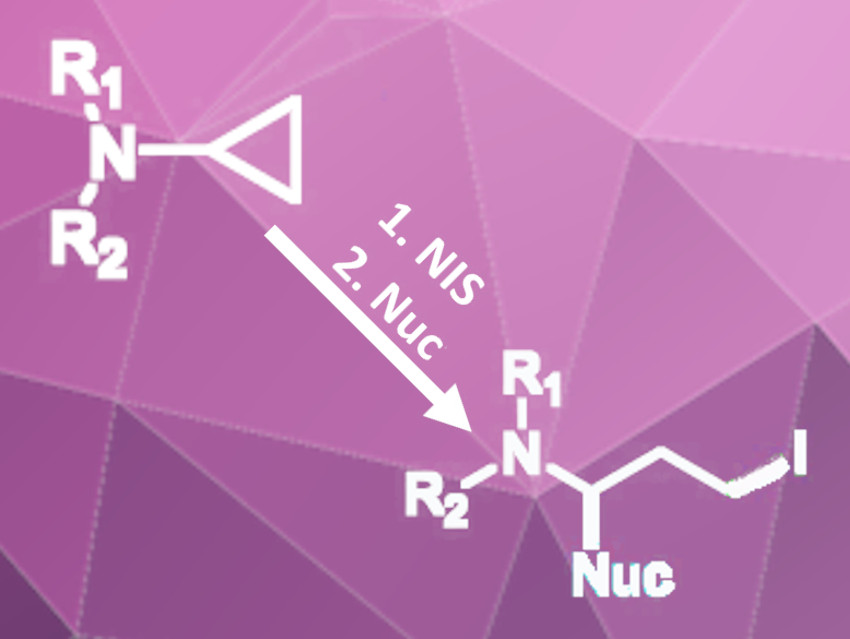 Versatile Difunctionalization of Cyclopropyl Amines