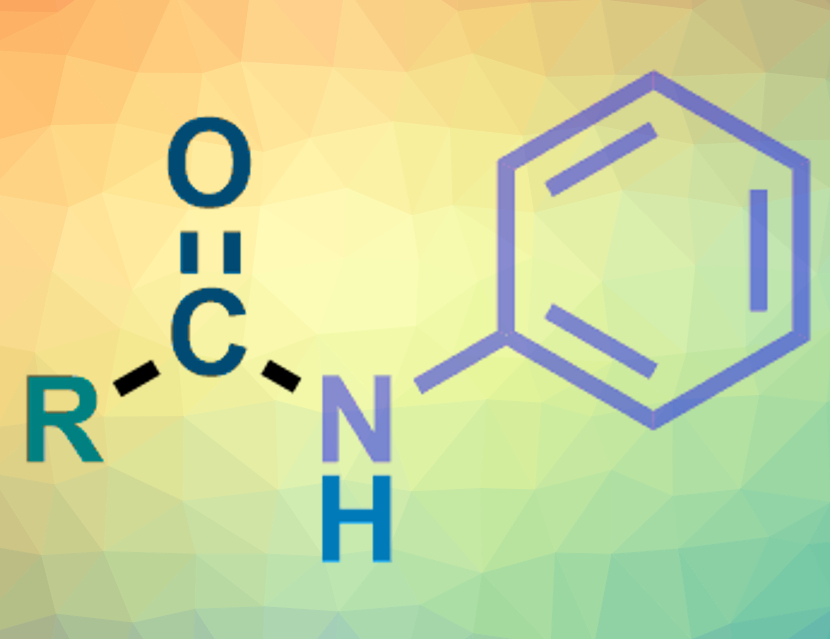 Dual-Role Copper Catalyst Gives N-Aryl Alkylamides