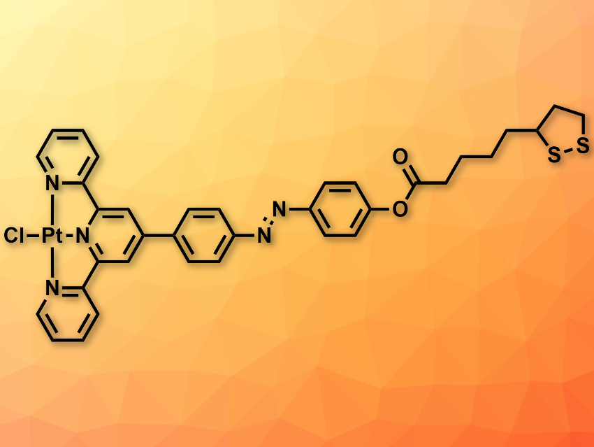 Molecular Binding at Nanopore Edges in 2D Materials