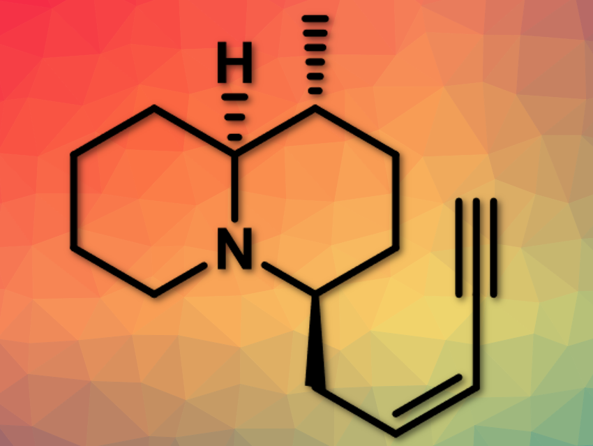 Stereoselective Synthesis of Quinolizidine (–)‐217A