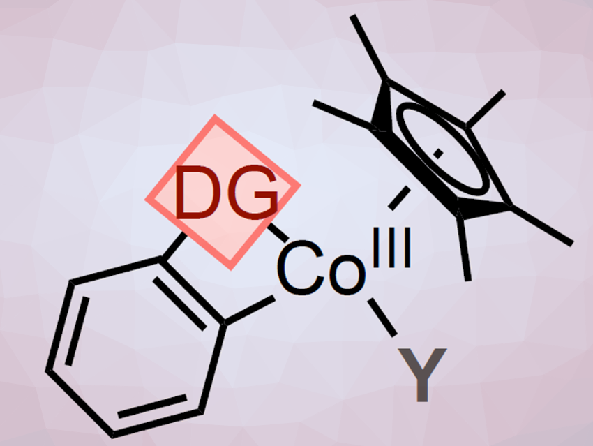 Understanding Cp*CoIII-Catalyzed C–H Functionalization