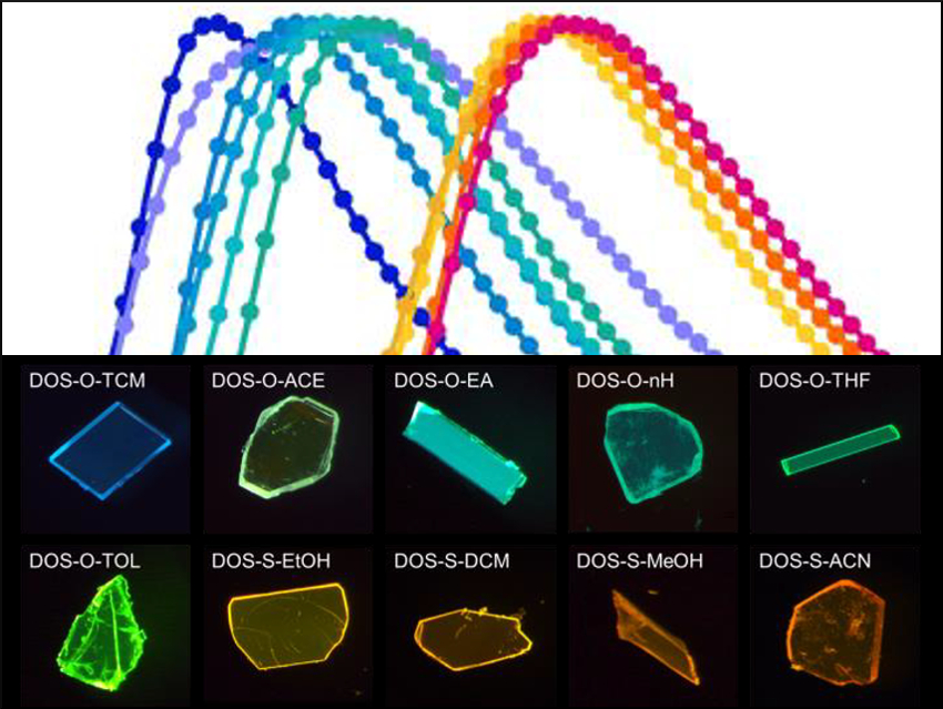 Different Chromophores in a Single Molecule Take Turns