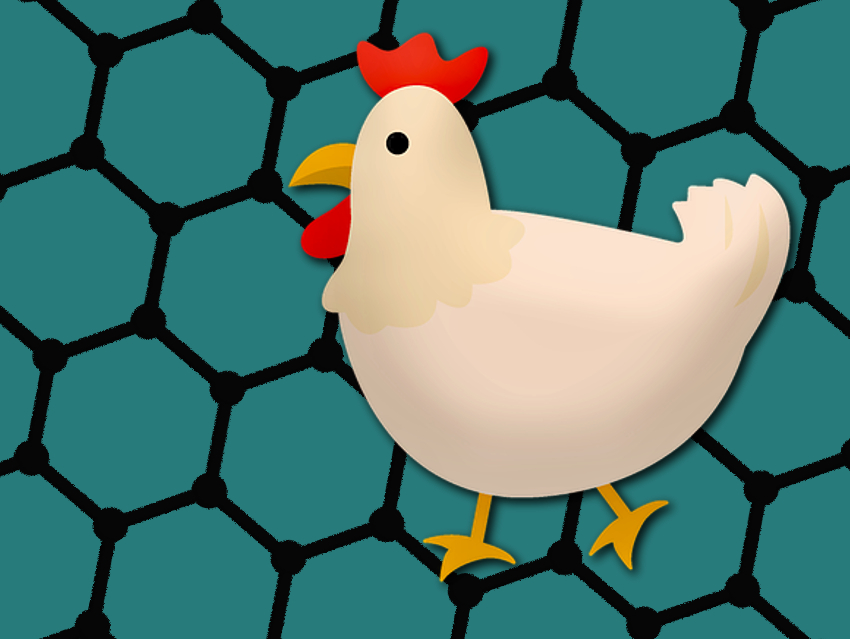 Graphene Catalyst Doped with Chicken Poop