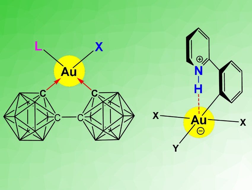 Do Gold(III) Complexes Form Hydrogen Bonds?