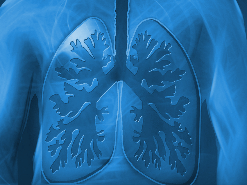 How Nanoparticles Affect Liquids Deep in the Lung
