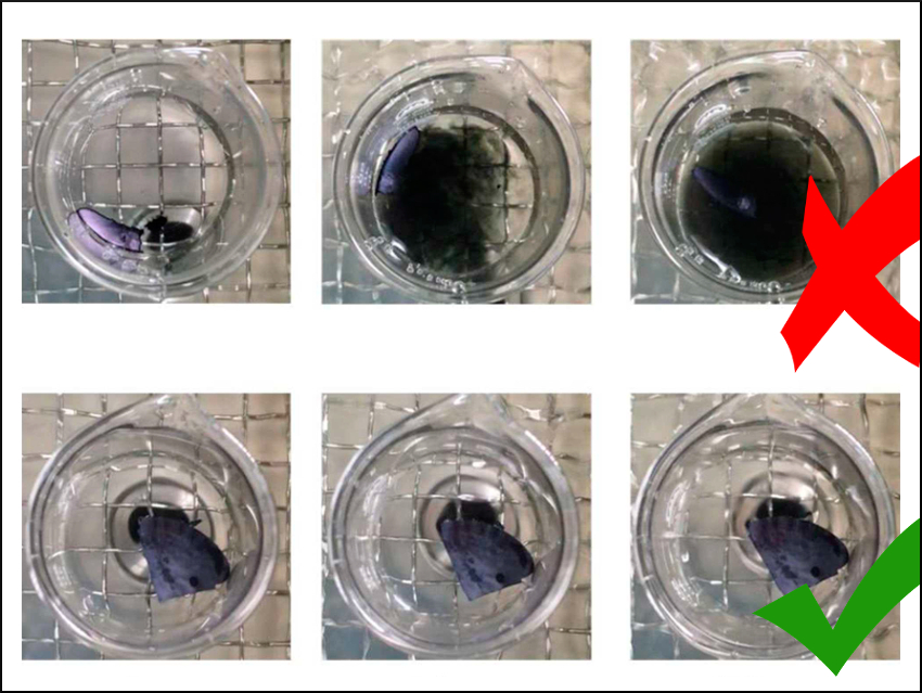 MXene Films Protected from Moisture