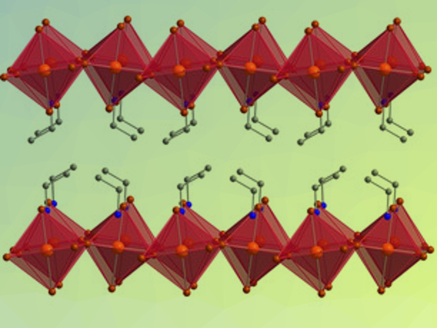 Perovskites under Pressure