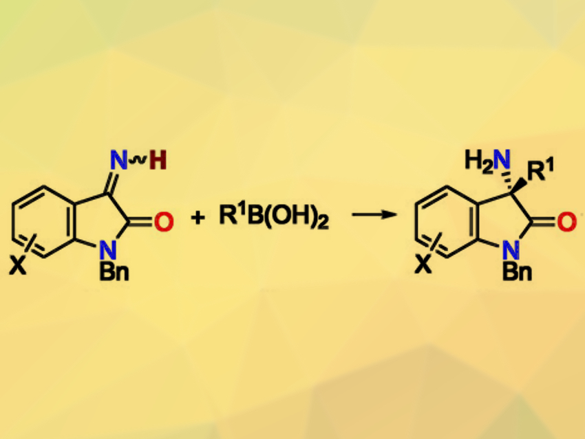 Addition of Boronic Acids to N‐Unsubstituted Ketimines