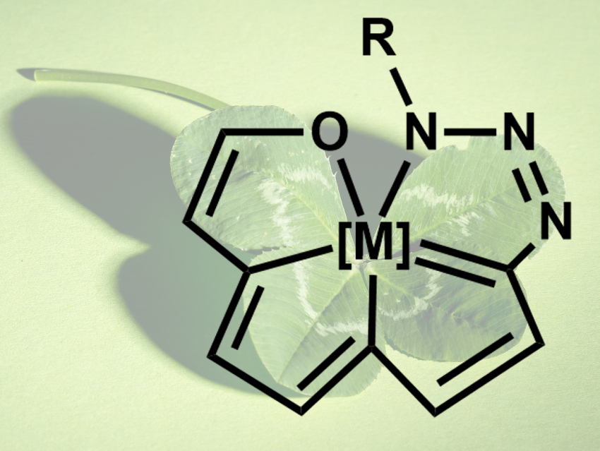 Tetracyclic Aromatics Shaped Like a Four-Leaf Clover