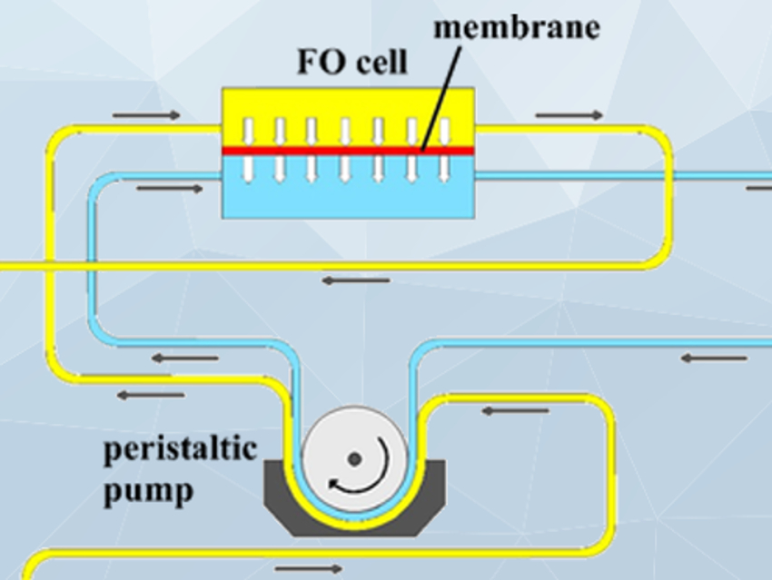 Effective Chromium Removal by Forward Osmosis