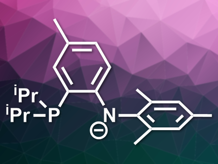 Series of New Lanthanide(III) Complexes Synthesized