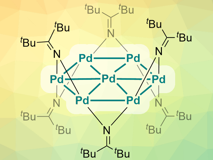 Rare Palladium Cluster with a Hexagonal Aromatic Core