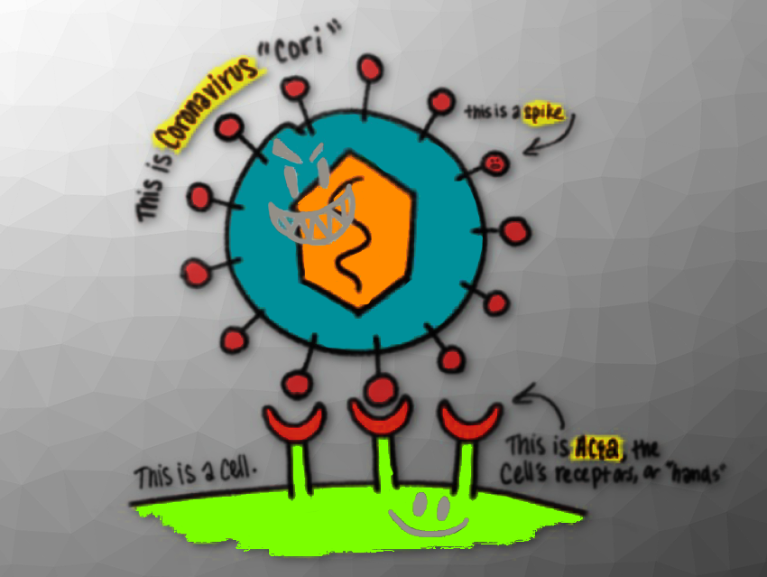 Suggesting Potential Drug Candidates for Coronavirus