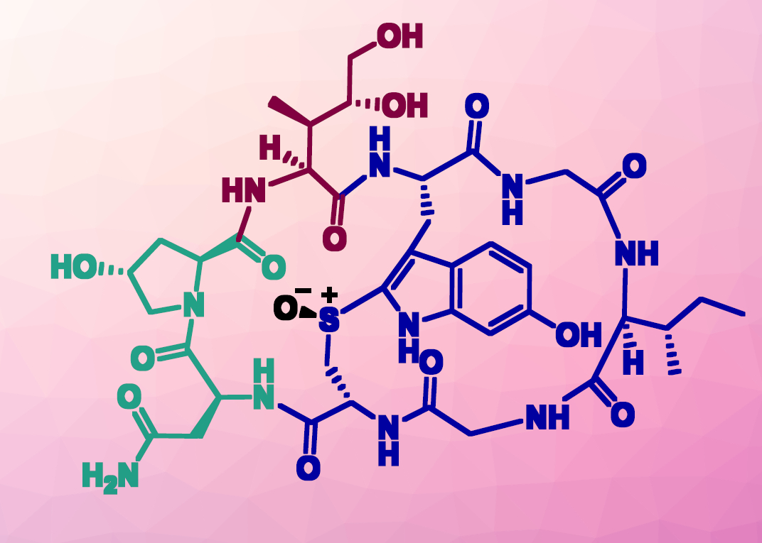 Synthetic Mushroom Toxin