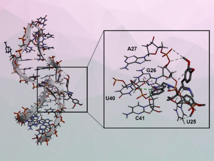 Targeting RNA with Small Molecules to Fight HIV