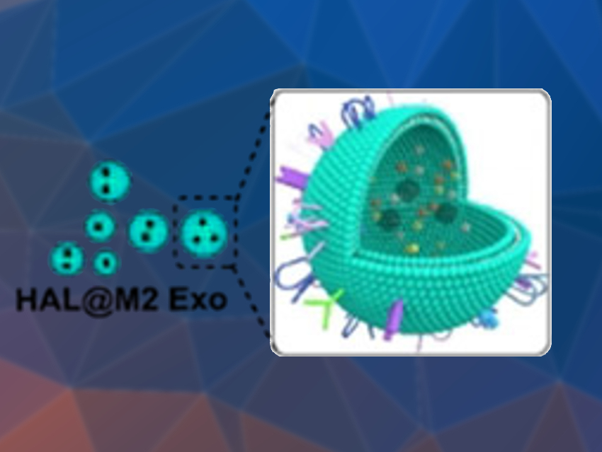 Exosomes That Aim and Fire at Inflammation