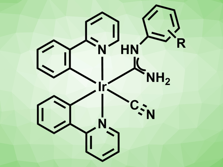 Iridium Complexes for Mercury Detection