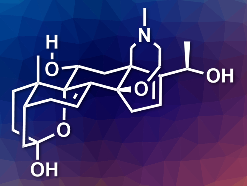 Total Synthesis of (−)-Batrachotoxinin A