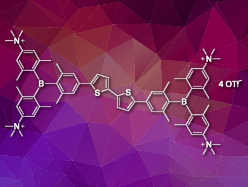 Simultaneous and Selective Detection of DNA/RNA and Proteins