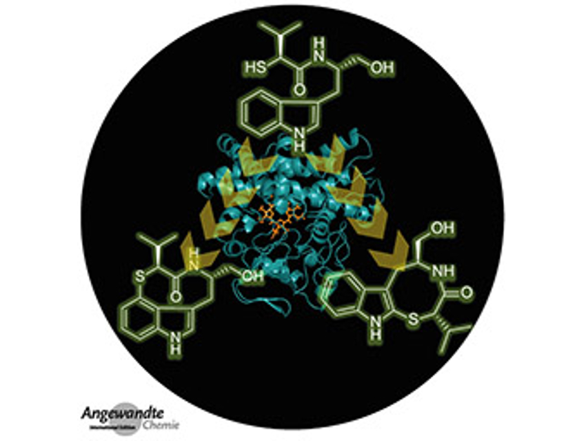 Angewandte Chemie 10/2020: Strategies and Effects