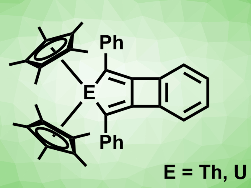 First Metallabiphenylene Analogues Synthesized