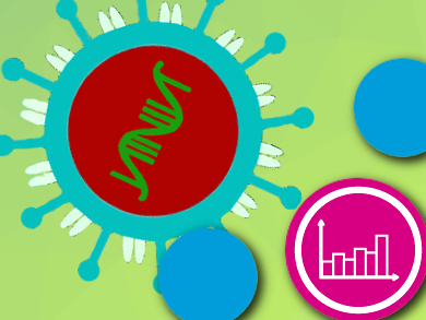 Coronavirus Entering and Replicating in a Host Cell