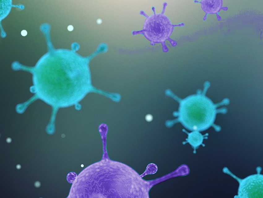 α-Ketoamides Keep Different Viruses from Multiplying