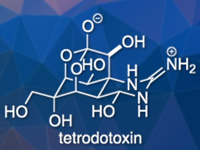 Total Synthesis of Tetrodotoxin