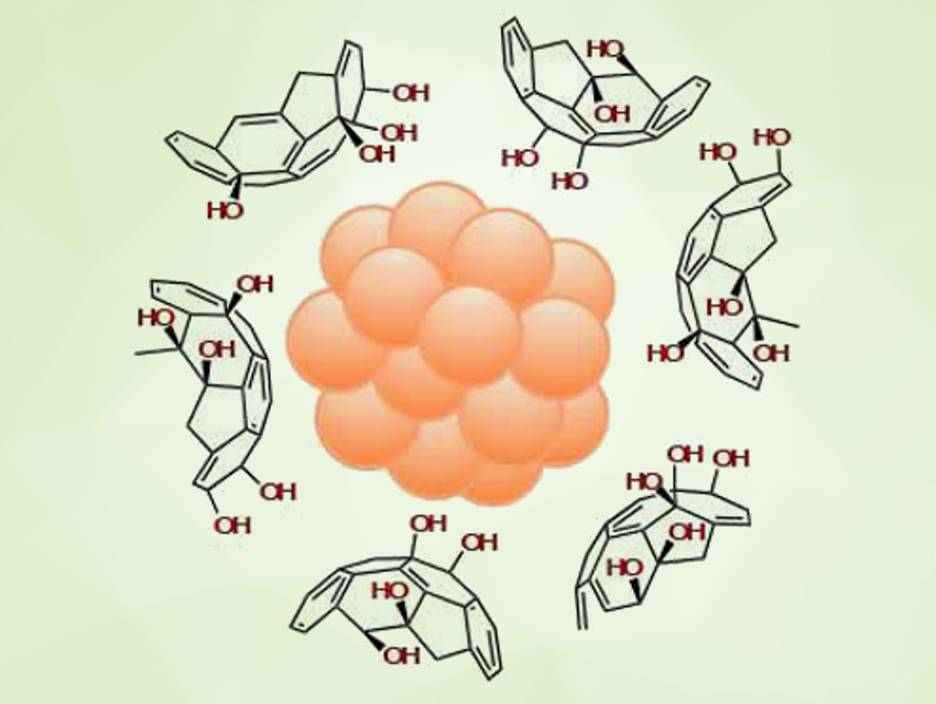 Gold Nanoparticles Stabilized with Fullerenols