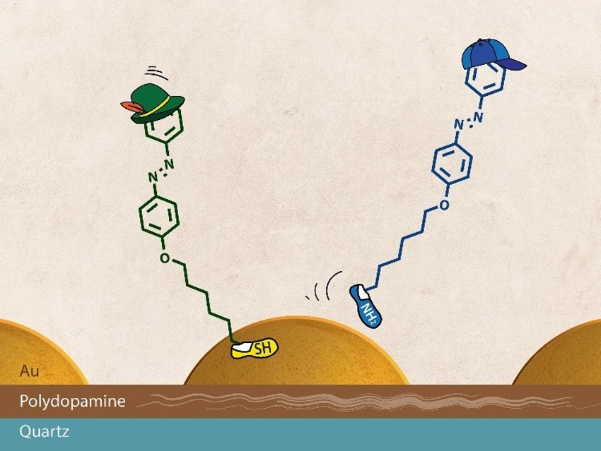 Gold Nanoparticle Arrays on Surfaces