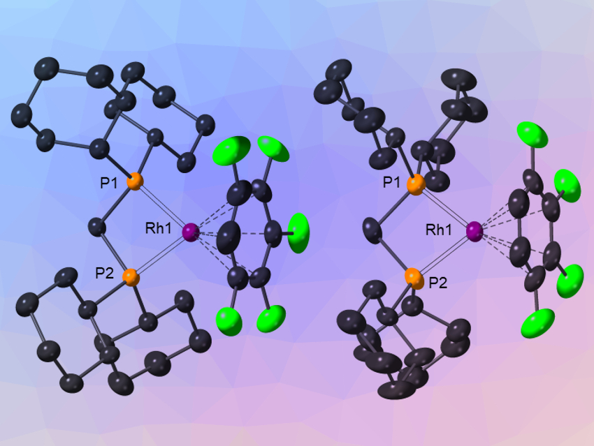 Highly Fluorinated Arenes as Ligands in Cationic Rhodium Complexes