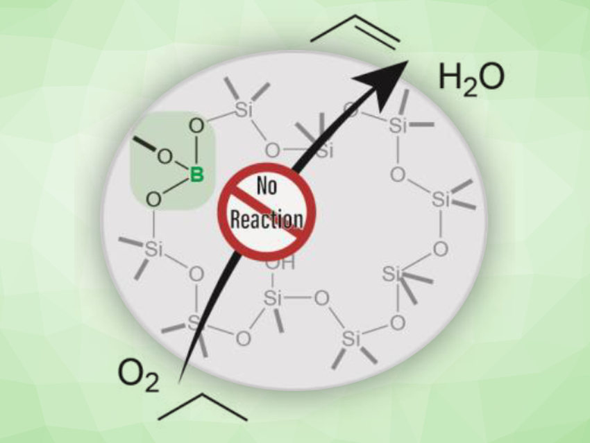 Single-Site Catalysis Hypothesis Challenged