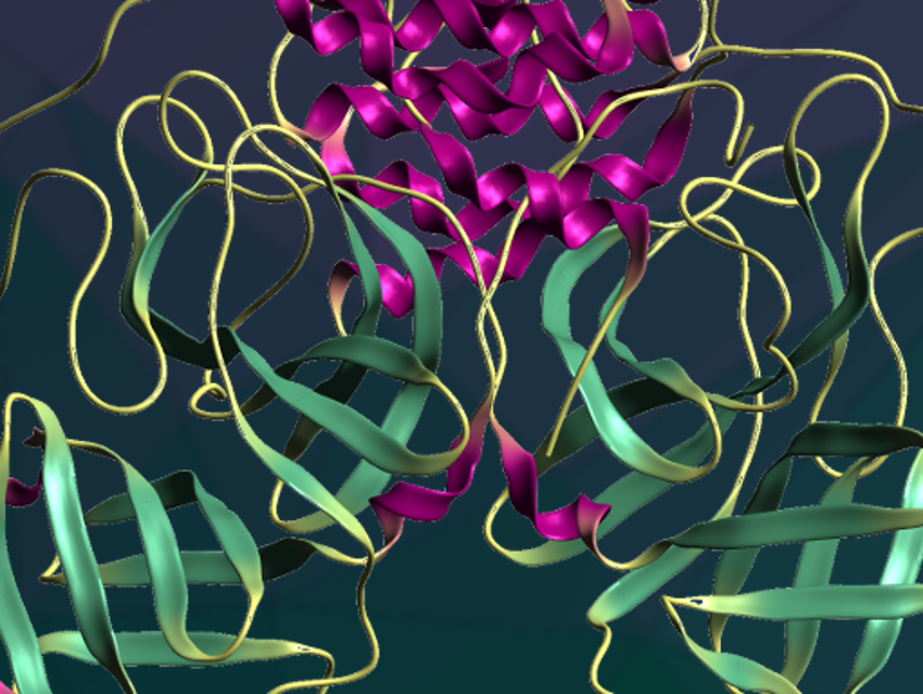 Structure of SARS-CoV-2 Main Protease as a Basis for Drug Design