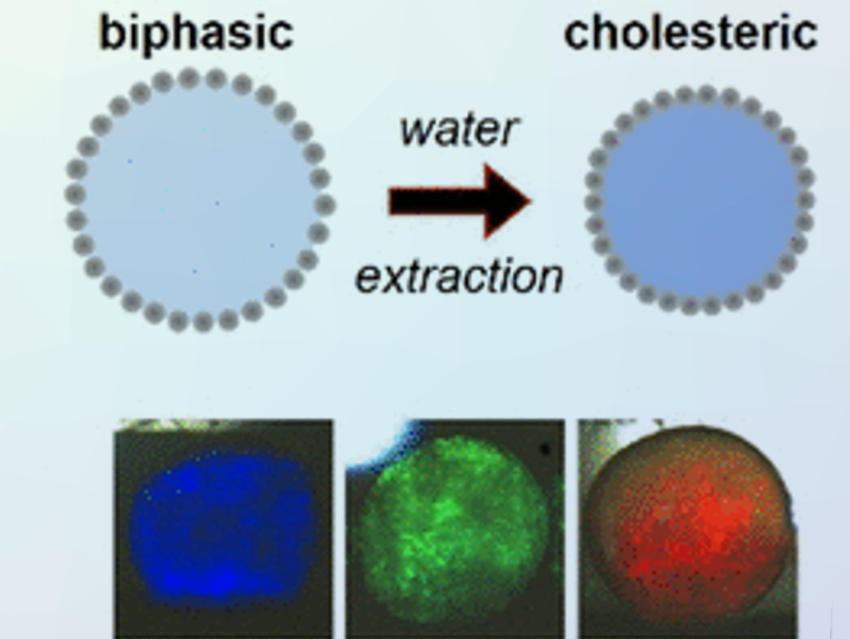 Structural Colors from Cellulose-Based Polymers