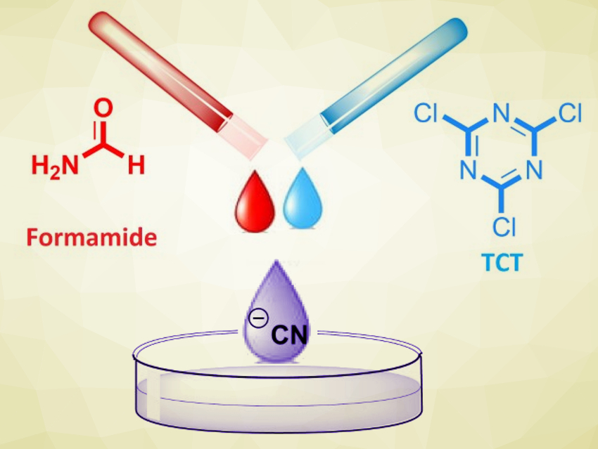 Formamide and Cyanuric Chloride as a New Cyanation Agent