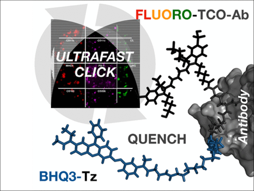 Staining Cycles for Tumor Diagnostics