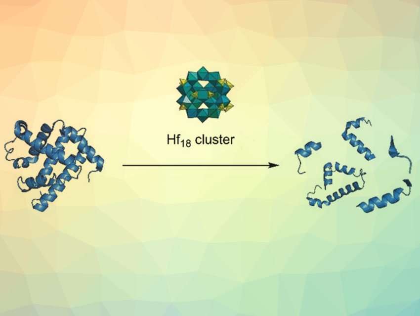 Solid Peptidase Performance