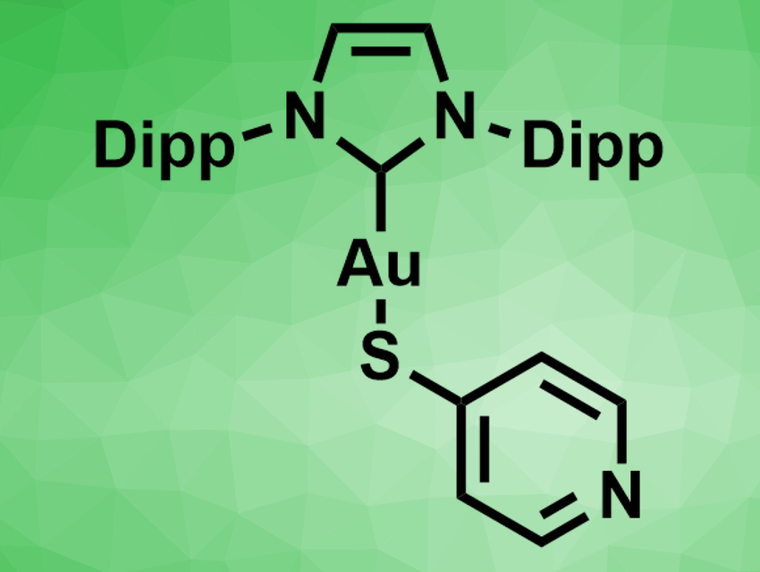 Carbene-Supported Gold–Mercaptopyridine Complexes