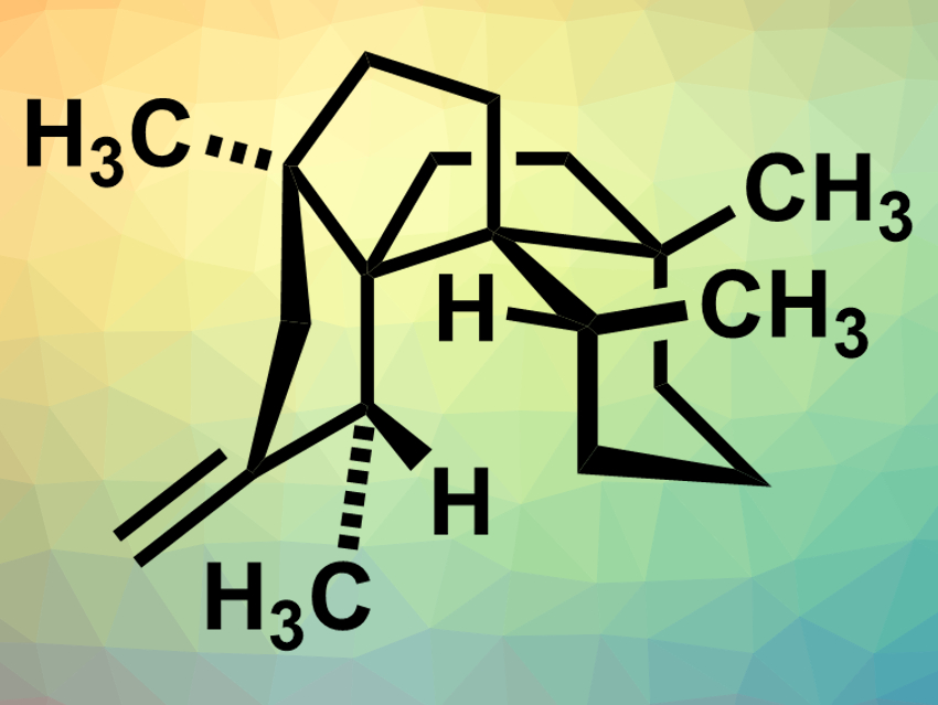 Total Synthesis of (+)-Waihoensene