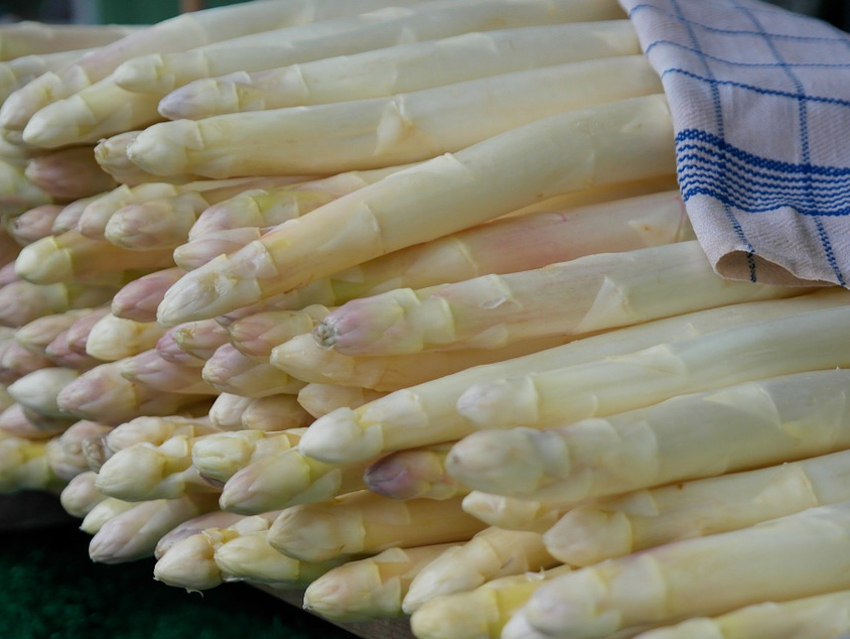 The Smell of Asparagus Urine – Part 2