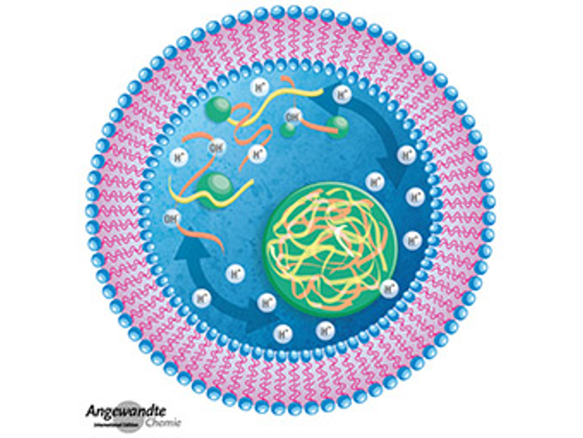 Angewandte Chemie 15/2020: Recharge Your Batteries