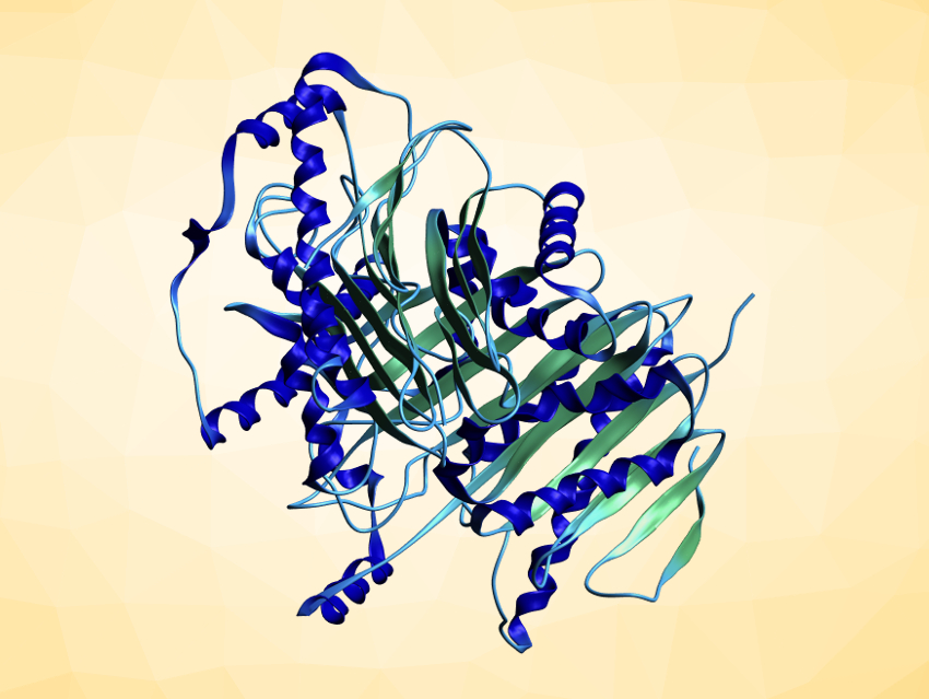 Enzymes Trapped in Gold