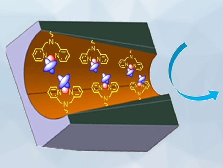 Phosphoprotein Recognition with Conical Nanochannels