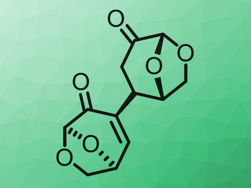 New Bio-Based Polyesters Made from Cellulose