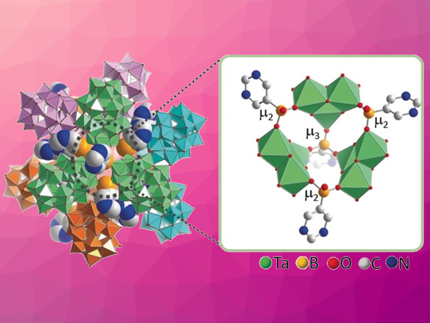 Polyoxometalate-Based Capsules