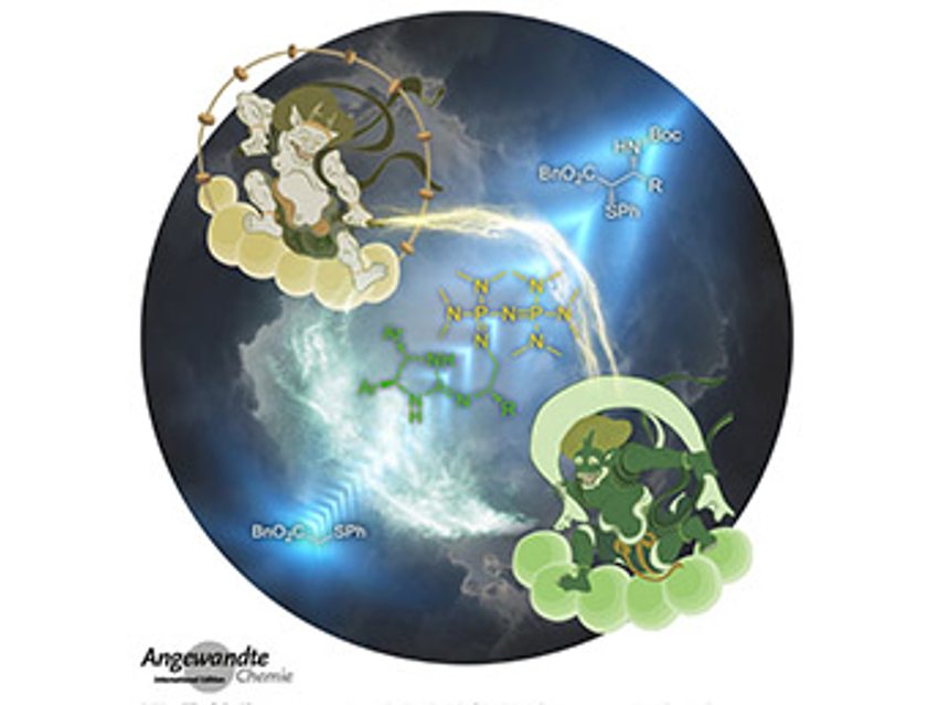 Angewandte Chemie 19/2020: Springs to Mind