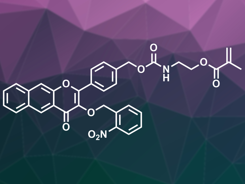 Carbon Monoxide-Releasing Polymers for Wound Healing